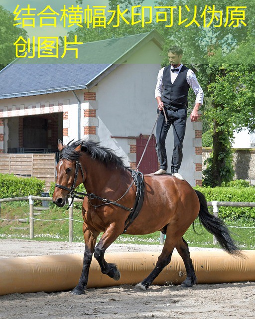 jogos gratis de cassino sem assinatura