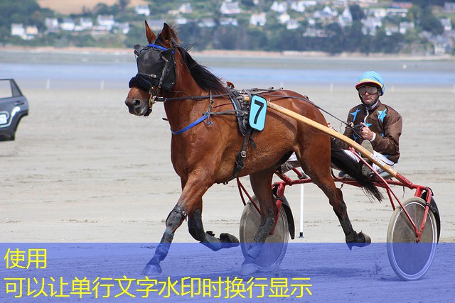 jogo do canguru cassino