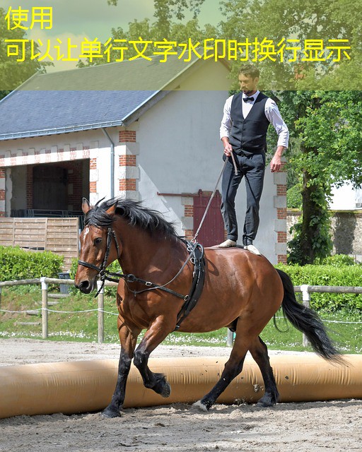 jogo de azar muito comum em cassinos