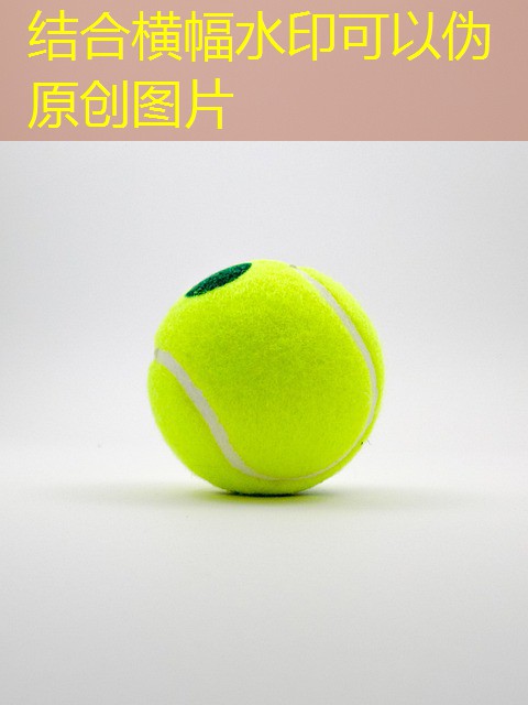 jogos de cassino que utilizam conhecimento em matematica