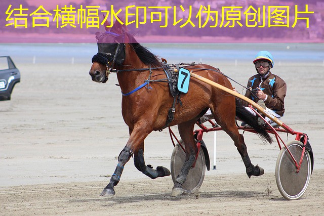 jogar em cassino em ingles