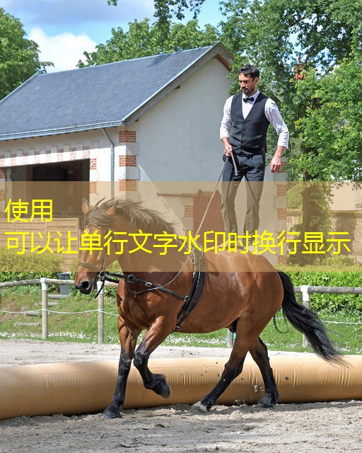 legalização jogos cassino parana