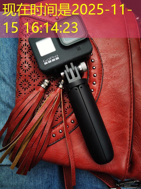 cassino x jogos de azar cassino x jogos de azar